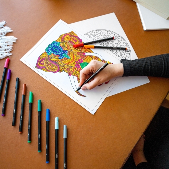 Markere de colorat Intensity 12 buc