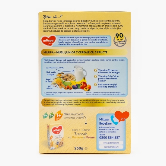 7 cereale cu 5 fructe Junior de la 1 an 250g