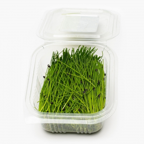 Vlăstari de chives 15g