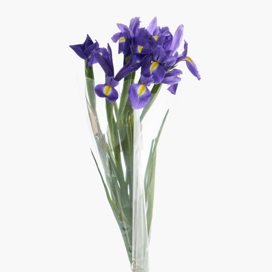 Buchet iris 7 fire
