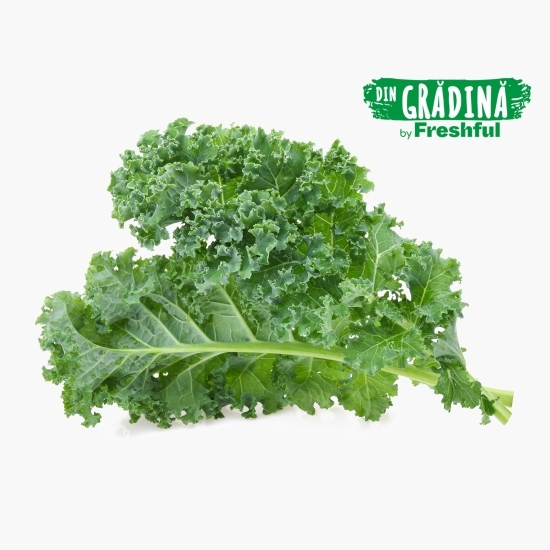 Varză Kale mix legătură eco 100g, Bioferma Niculești