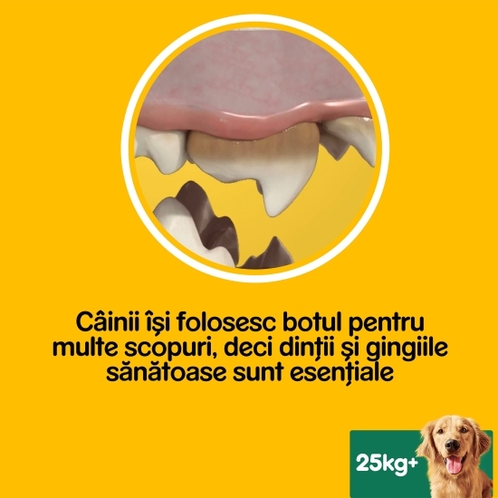Batoane dentare pentru câini de talie mare, 7 buc, 270g, DentaStix 