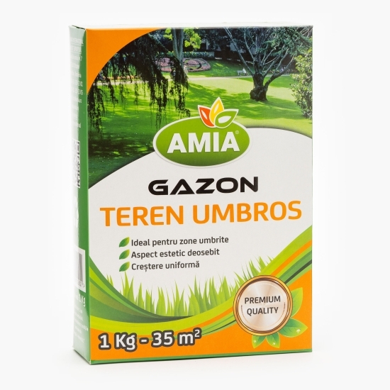Gazon pentru teren umbros 1kg