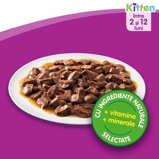 Hrană umedă pentru pisici junior, 100g, cu carne de pasăre în sos