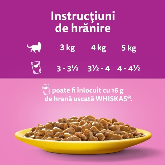 Hrană umedă pentru pisici adulte, 12 x 85g, cu carne de pasăre în sos 