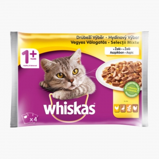 Hrană umedă pentru pisici, 4x100g, selecție pasăre