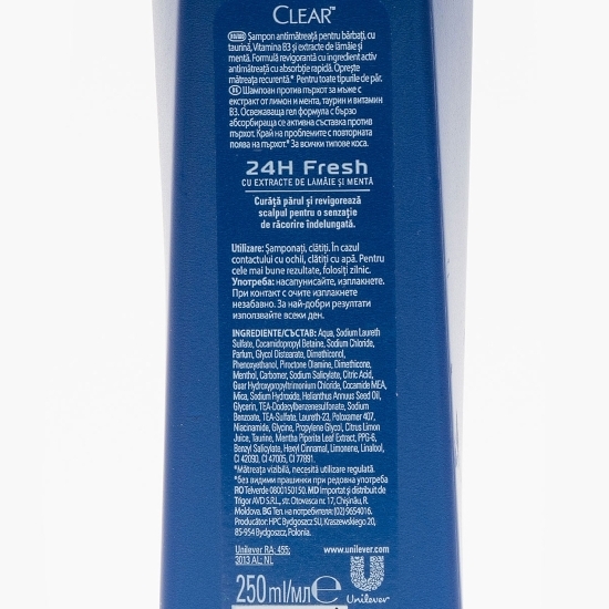 Șampon antimătreață pentru bărbați 24h Fresh 0.25l