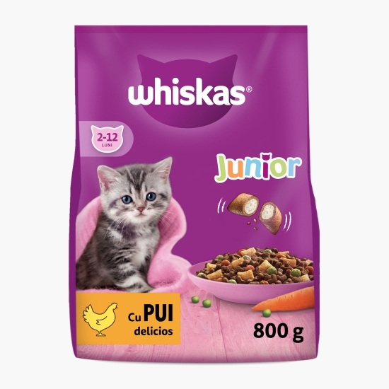 Hrană uscată pentru pisici junior, 800g, cu pui 