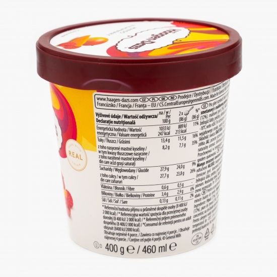 Înghețată de mango cu sos de zmeură 460ml