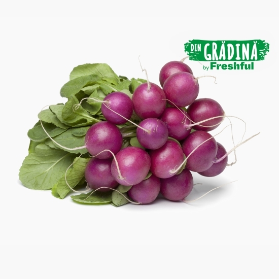 Ridichi violet eco 1 legătură