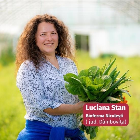 Salată Romană verde eco 1 bucată, Bioferma Niculești