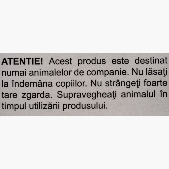 Zgardă din nylon pentru pisici, 32cm, verde