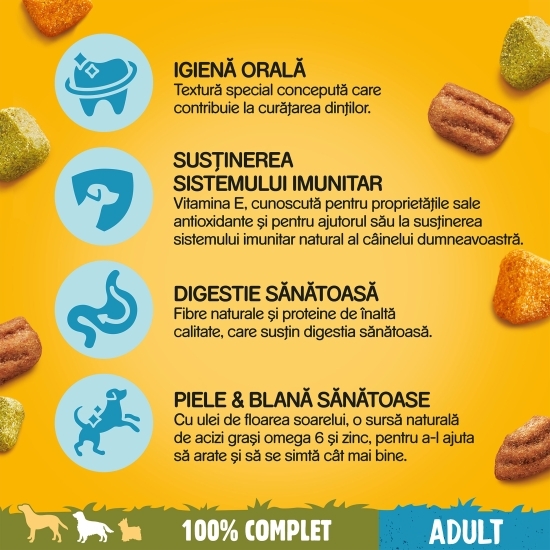 Hrană uscată pentru câini adulți, 500g, cu vită și pasăre