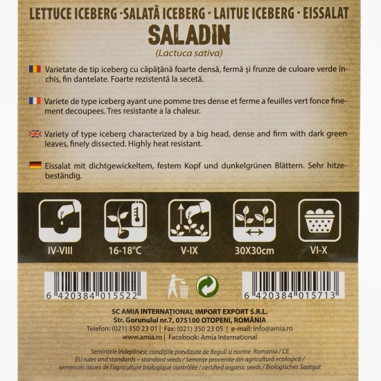Semințe de salată iceberg 2g