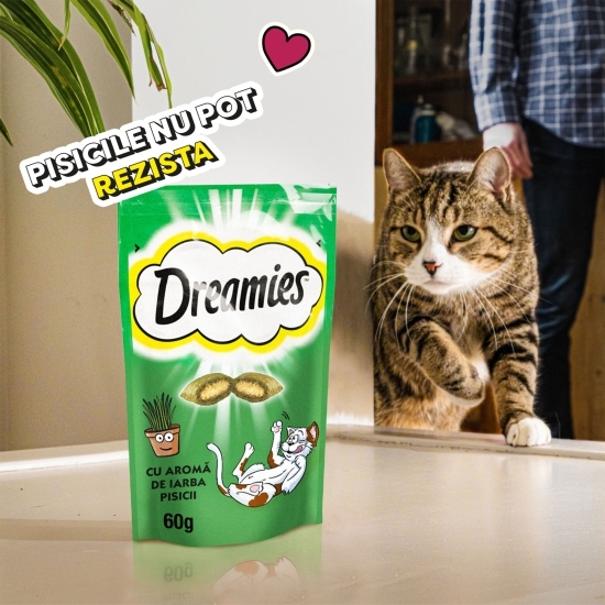 Recompense pentru pisici, 60g, cu aromă de iarba piscii