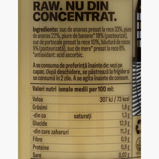 Raw smoothie Pina Coolada 0.25l