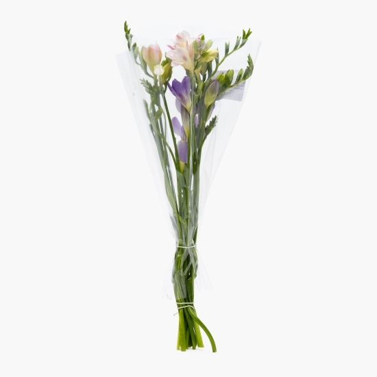 Buchet de frezii, 7 fire, 40cm