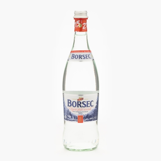 Apă minerală naturală plată sticlă 0.75l