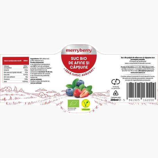 Suc eco de afine și căpșune 0.2l