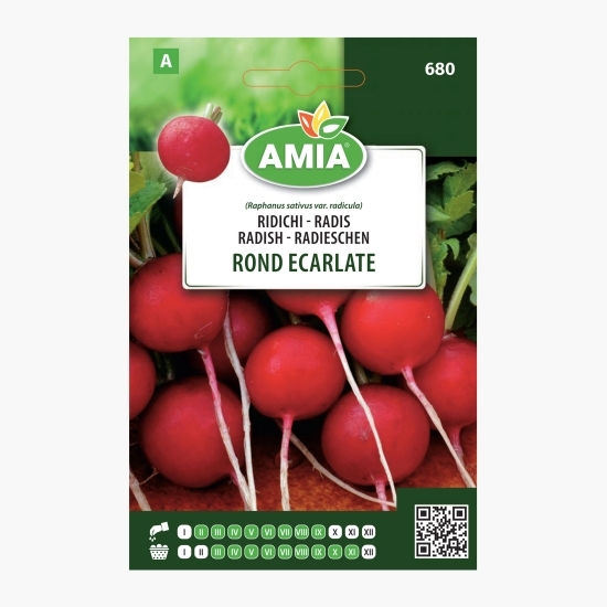 Semințe ridichi Rond Ecarlate 7g