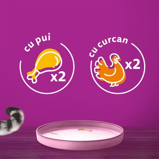 Hrană umedă pentru pisici junior, 4 x 85g, Pure Delight cu carne de pasăre în aspic