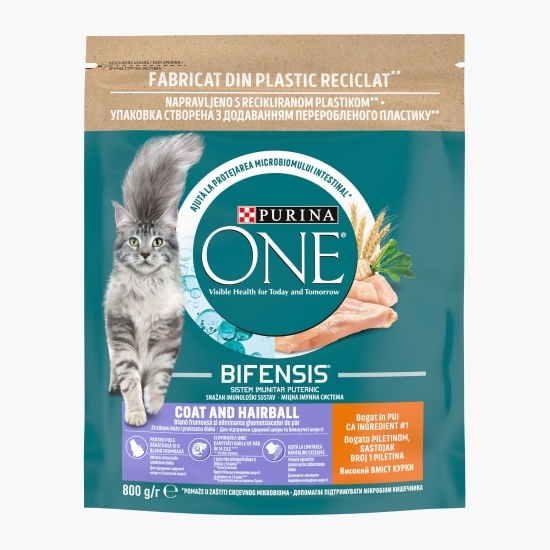 Hrană uscată pentru pisici adulte, 800g, One Coat&Hairball, pui