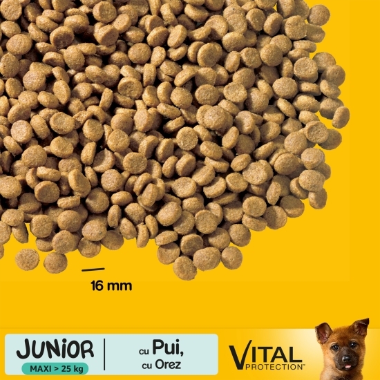 Hrană uscată pentru câini Junior de talie mare, 15kg, cu pui și orez