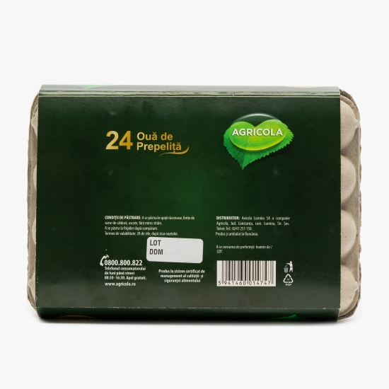 Ouă de prepeliță 24 buc