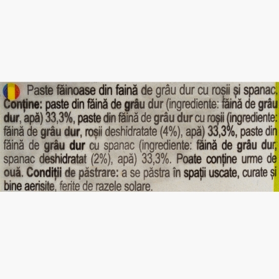 Paste Penne rigate tricolore 500g