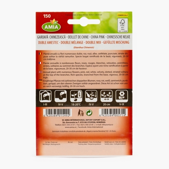 Semințe Garoafă chinezească - flori mari duble 0.8g