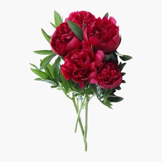 Buchet bujori roșii, 5 fire