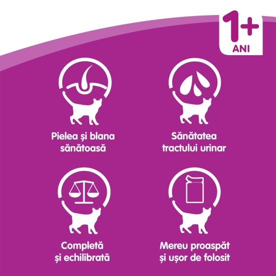 Hrană umedă pentru pisici adulte, 80 x 100g, Selecții clasice în sos cu pui, vită, miel și pasăre