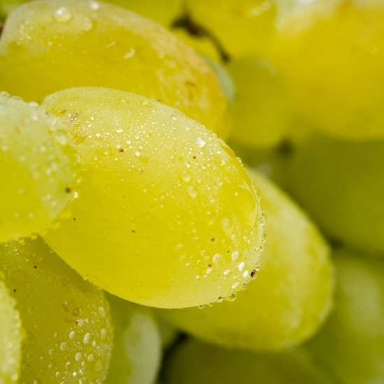Struguri de masă albi România 500g