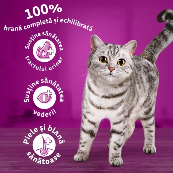 Hrană uscată pentru pisici adulte, 300g, cu vită