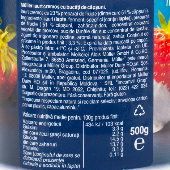 Iaurt cu bucăți de căpșuni 500g
