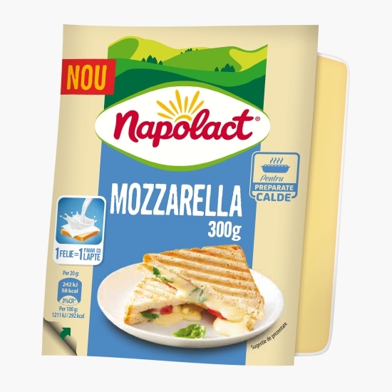 Mozzarella bloc 300g