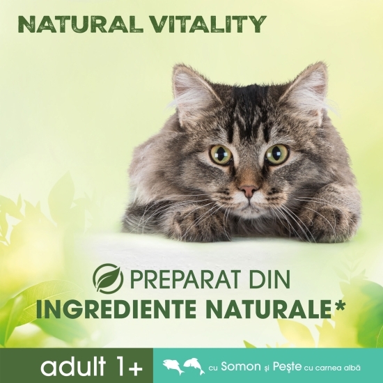 Hrană uscată pentru pisici, 650g, cu somon și pește alb 