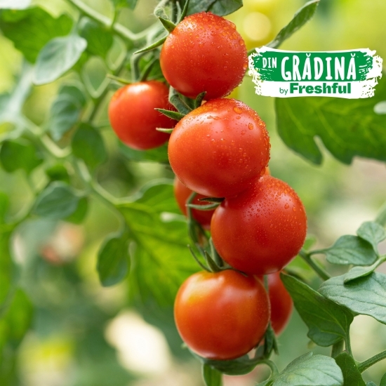 Roșii cherry România 250g