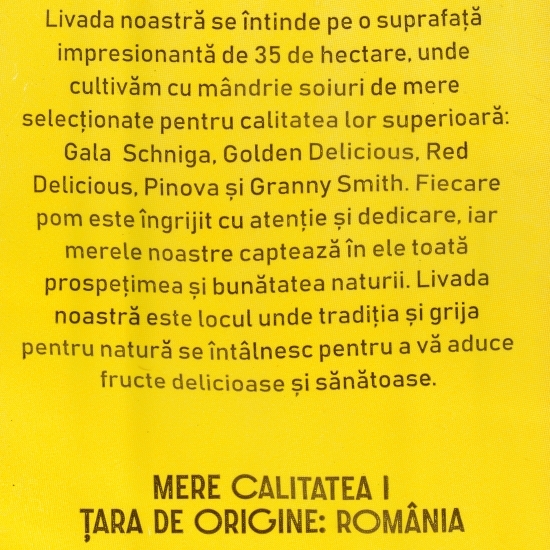 Mere Granny Smith, România (livada Boierescu), 1.5kg