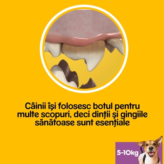 Batoane dentare pentru câini de talie mică, 7 buc, 110g, DentaStix