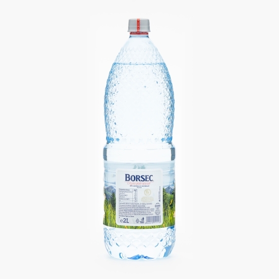 Apă minerală naturală plată 2l