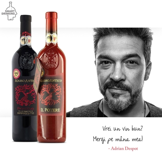 Vin roșu sec Il Potere, 15%, 750ml