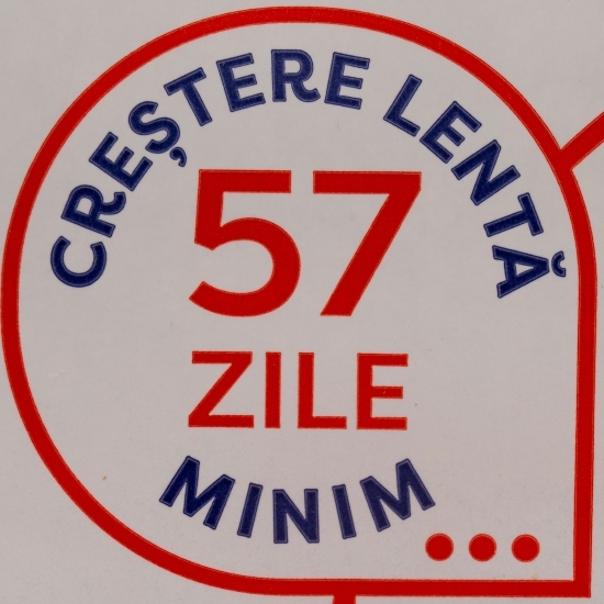 Pulpe de pui dezosate cu piele 800g