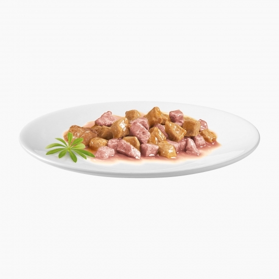 Hrană umedă pentru pisici, 85g, Mini fileuri în sos cu pui și somon