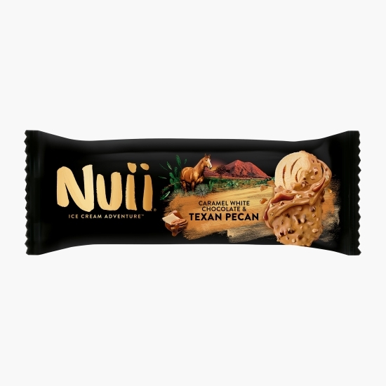 Îngheţată de vanilie cu caramel şi bucăţi de nuci pecan texane 90ml