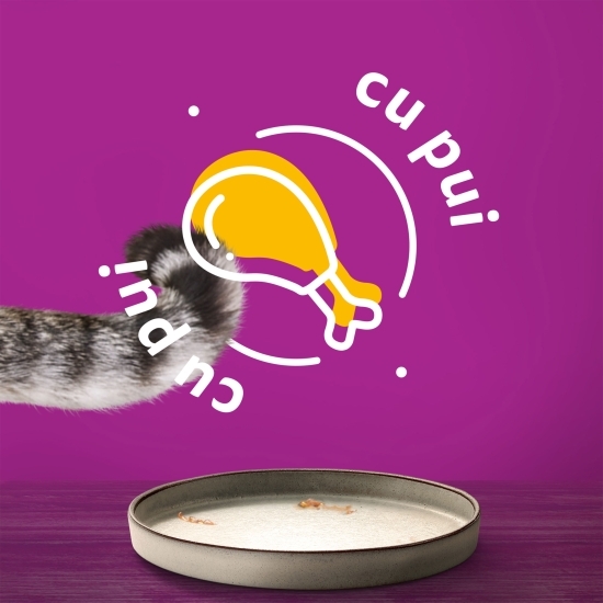 Hrană umedă pentru pisici, 85g, Pure Delight cu pui în aspic