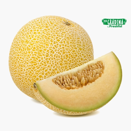 Pepene galia eco România minim 1300g