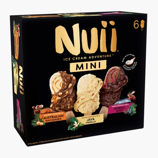 Îngheţată de vanilie/ciocolată 253g