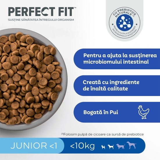 Hrană uscată pentru câini juniori de talie mică, 825g, cu pui