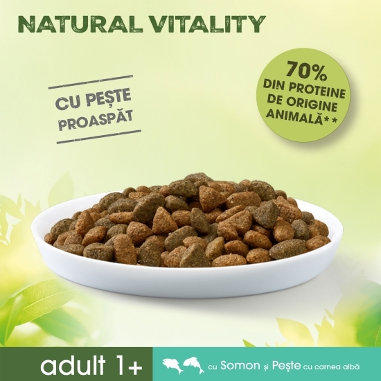 Hrană uscată pentru pisici, 650g, cu somon și pește alb 